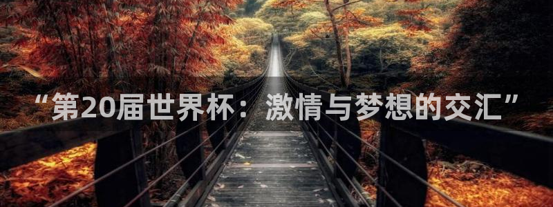 世界杯系列赛：“第20届世界杯：激情与梦想的交汇”