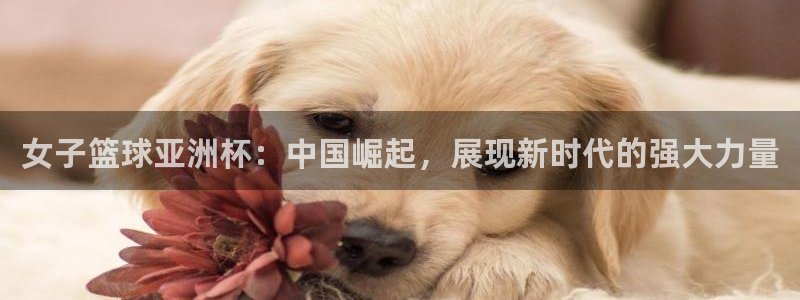 免费足球比赛直播高清：女子篮球亚洲杯：中国崛起，展现新时代的强大力量