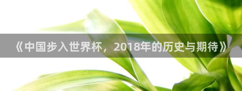 足球比分直播世界杯：《中国步入世界杯，2018年的历史与期待》