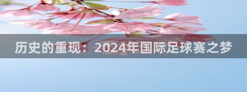世界杯在线直播入口：历史的重现：2024年国际足球赛之梦