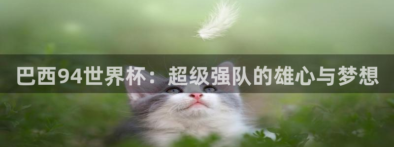 2026年足球世界杯赛程时间表：巴西94世界杯：超级强队的雄心与梦想