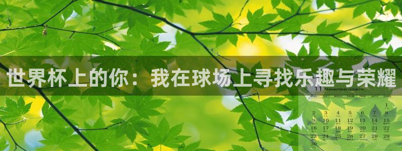 2026世界杯对阵图：世界杯上的你：我在球场上寻找乐趣与荣耀