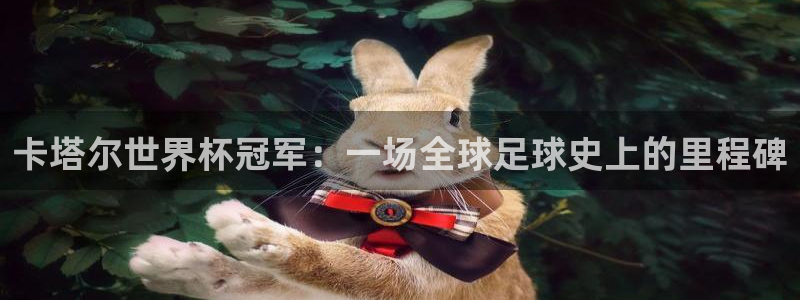 2026世界杯中国队：卡塔尔世界杯冠军：一场全球足球史上的里程碑