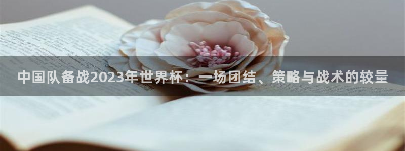 世界杯比赛时间：中国队备战2023年世界杯：一场团结、策略与战术的较量