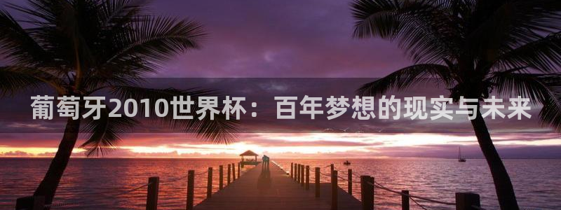 世预赛欧洲赛程表：葡萄牙2010世界杯：百年梦想的现实与未来