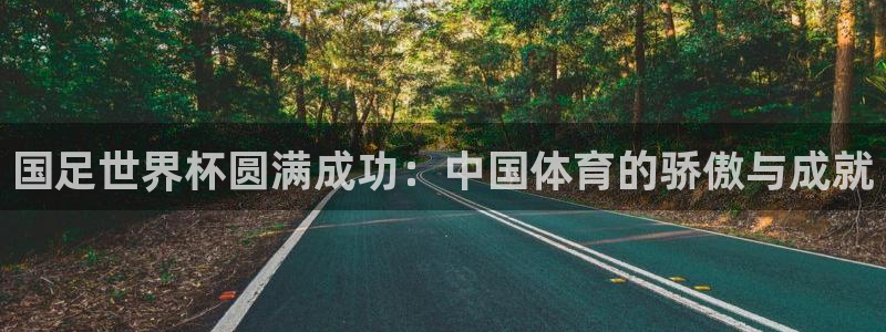 世界杯官网入口：国足世界杯圆满成功：中国体育的骄傲与成就