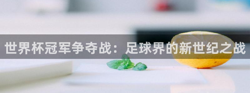 世界杯预选赛赛程表：世界杯冠军争夺战：足球界的新世纪之战