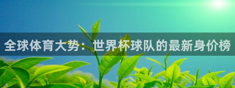 世界杯2026赛制：全球体育大势：世界杯球队的最新身价榜