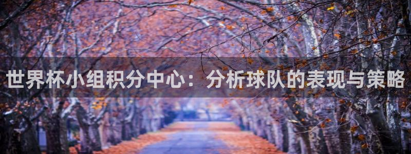 足球世界杯：世界杯小组积分中心：分析球队的表现与策略