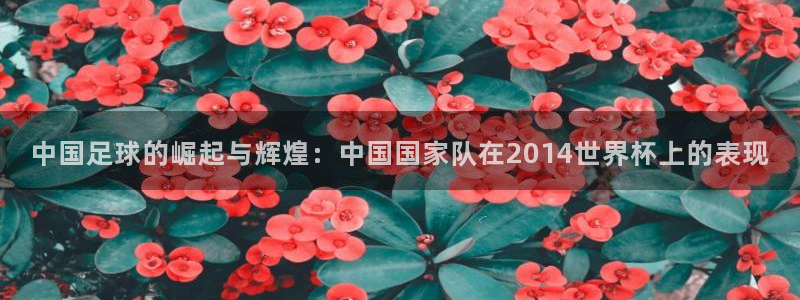 世界杯预选赛亚洲区积分榜：中国足球的崛起与辉煌：中国国家队在2014世界杯上的表现