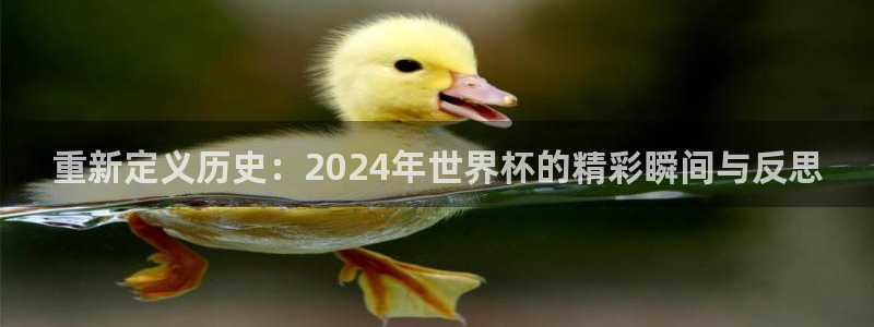 澳门世界杯直播：重新定义历史：2024年世界杯的精彩瞬间与反思
