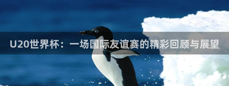 世界杯欧洲区赛程：U20世界杯：一场国际友谊赛的精彩回顾与展望