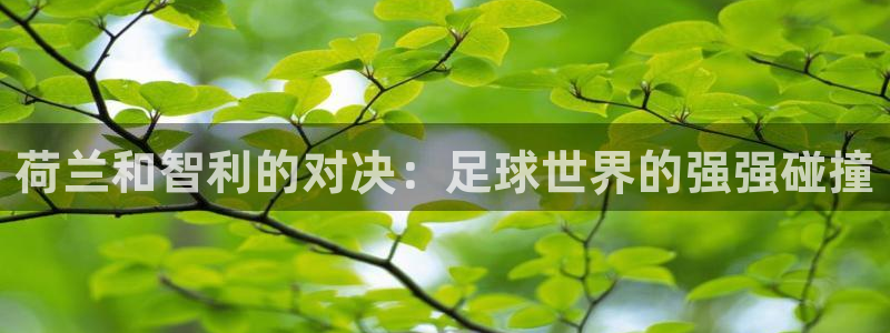 2026世界杯亚洲区预选赛：荷兰和智利的对决：足球世界的强强碰撞